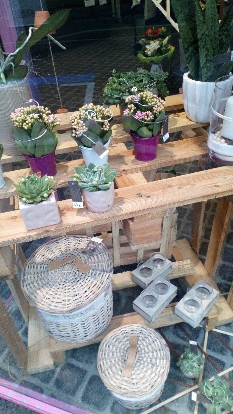 Fleurs Reverchon Loire 42